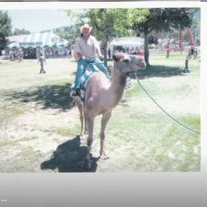 Meet your Posher, Vee